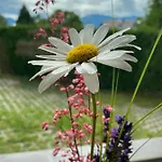 Dolomiten Διαμέρισμα