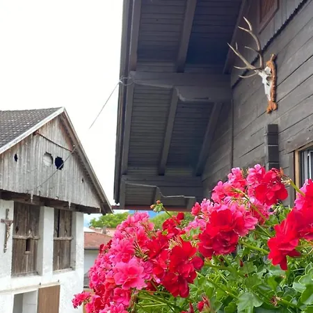 Dolomiten Apartment Nussdorf