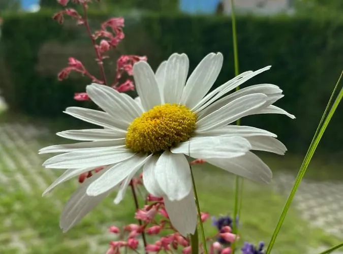 Dolomiten アパート *