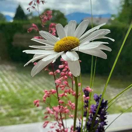 Dolomiten Apartamento