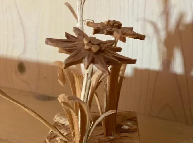 Dolomiten דירה *